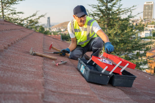 Best Fiber Cement Siding Installation  in Loyola, CA